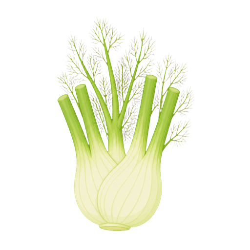 Finocchio