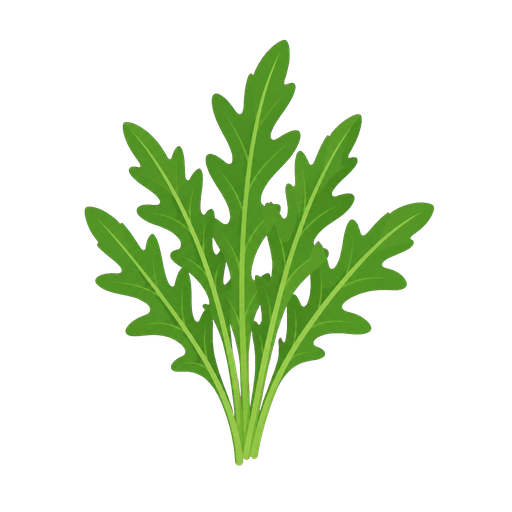 Rucola